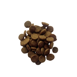 Ocean Cantabric - 2 kg.